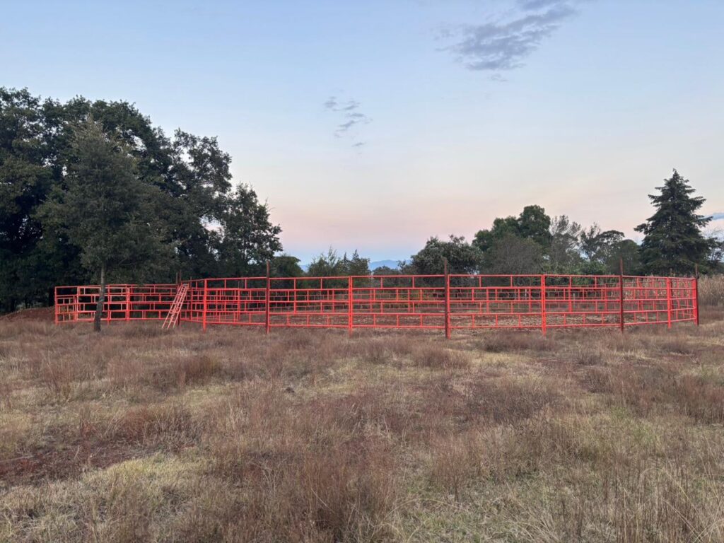 Feria de loa reyes WhatsApp Image 2025 12 28 At 22.28.50 Ab31b4ec 1024x768